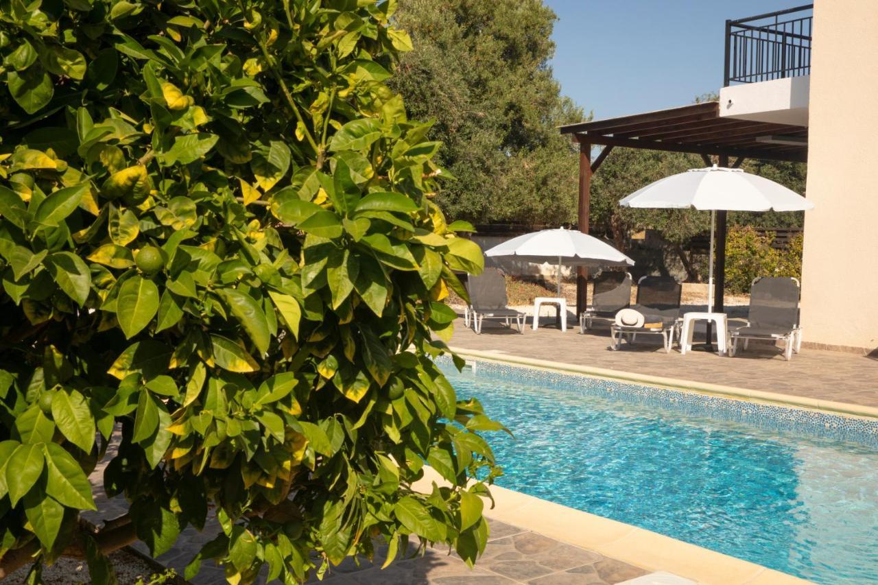 Villa Gavalas Peyia Ngoại thất bức ảnh